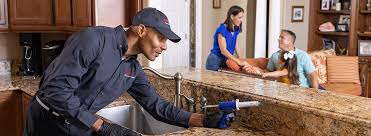 Real Estate Pest Inspections in Greeley, CO